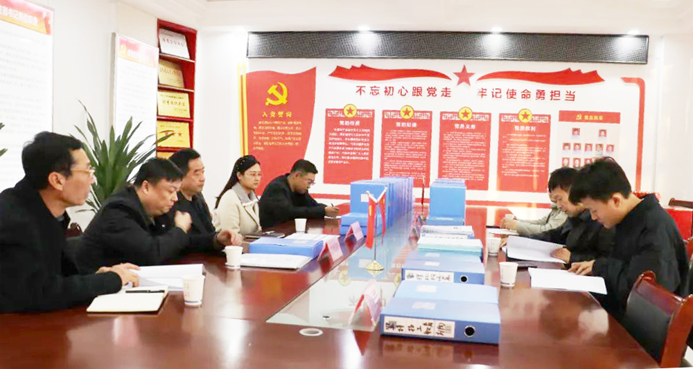 凝心聚力谋发展 聚焦年检促前行|2024年我院年度检查工作